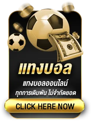 แทงบอล BY m24slot